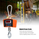 Digital Crane Scale