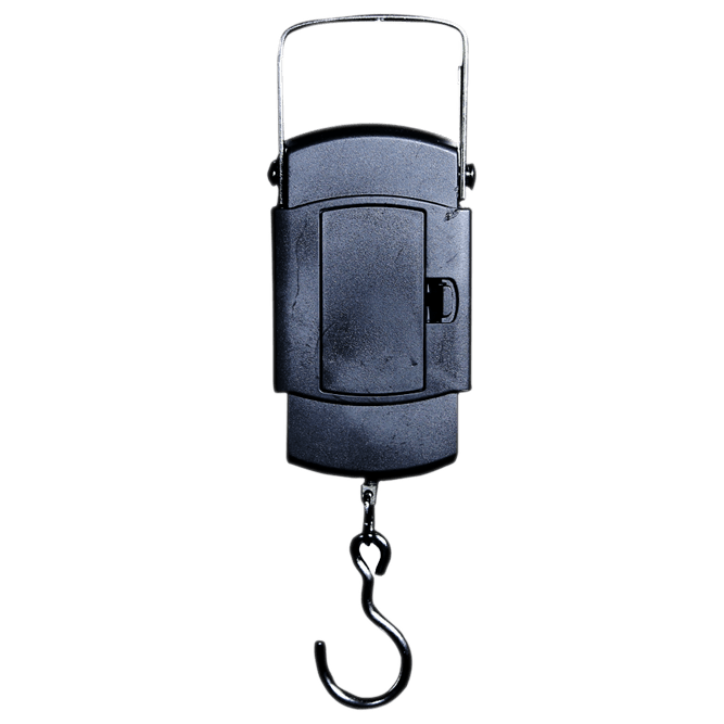 Digital Hanging Scale